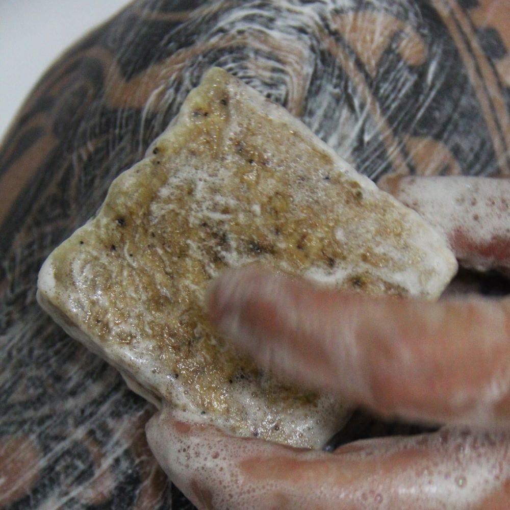 Bubba's Breakfast Salt Bar Soap