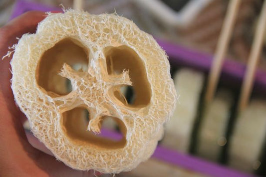 Loofahs