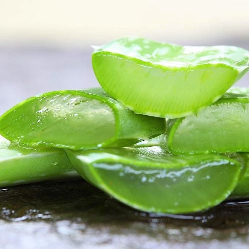Lets Learn About Aloe Vera
