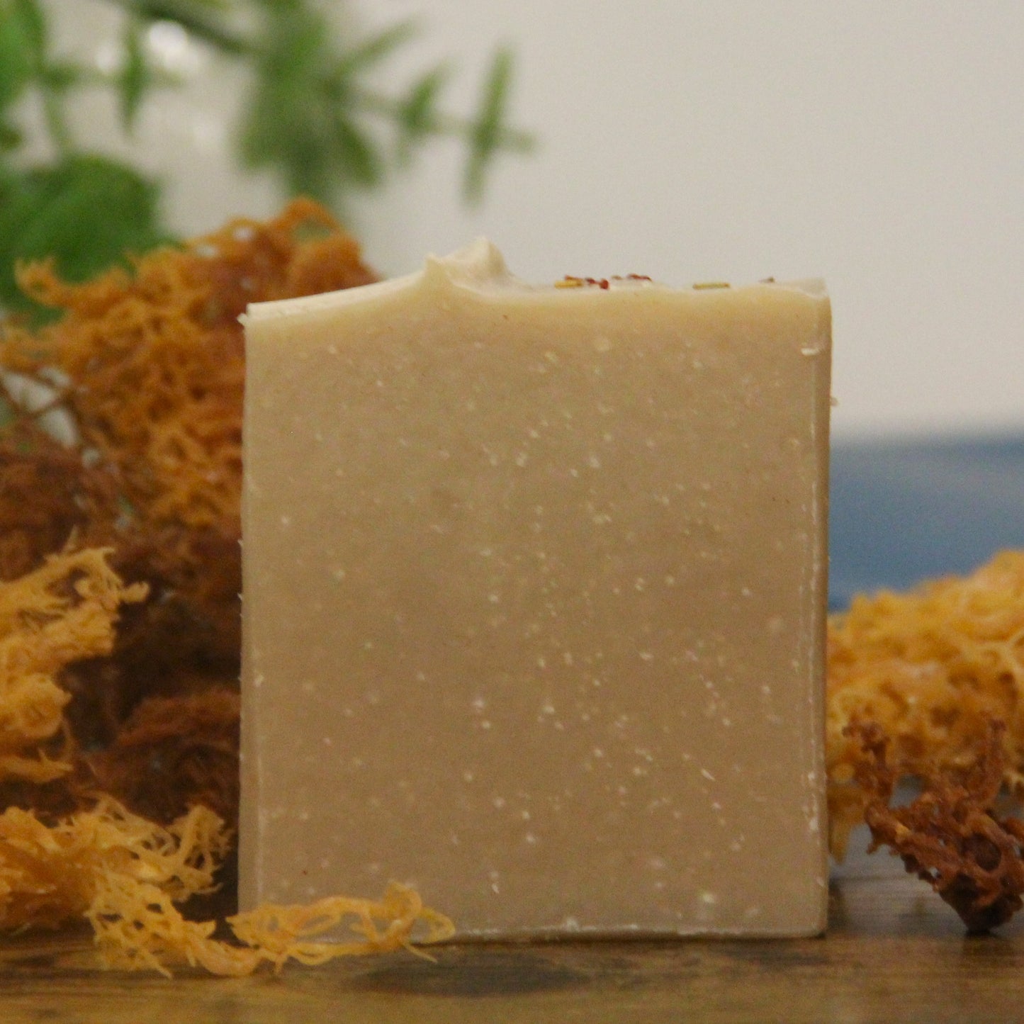 Sea Moss Sandalwood Soap-Limited August Soap  of the Month