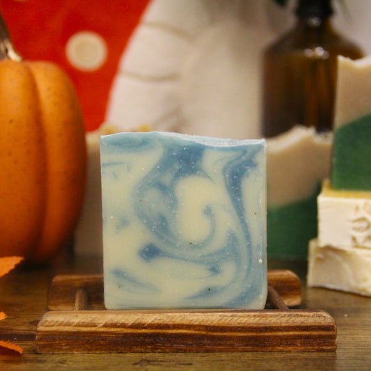 Blueberry Walnut Soap - LIMITED Autumn Collection